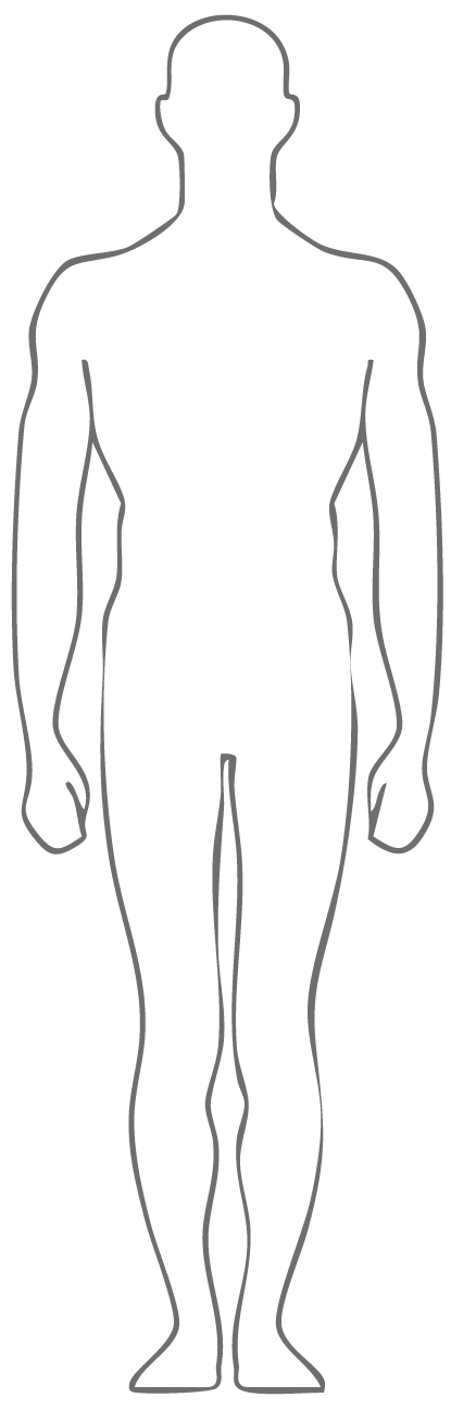 Male Body